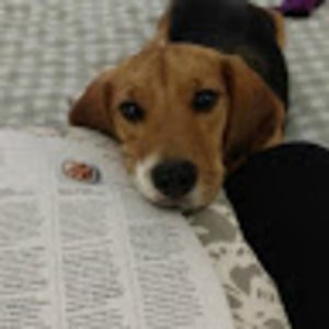 Meet your Posher, Keri